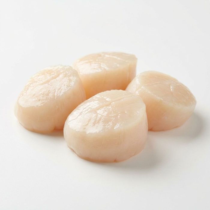 Sea Scallop