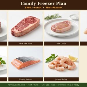 Family Freezer Plan
