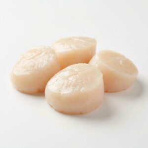 Sea Scallop Box